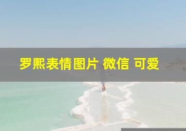 罗熙表情图片 微信 可爱